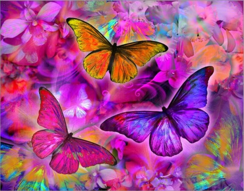 Butterflies in Flowers — Purple