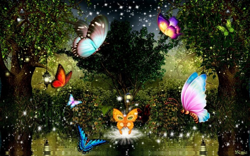 Butterflies in Forest — Green, Magical, Night