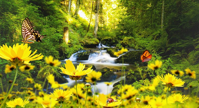 Butterflies in Forest — Yellow