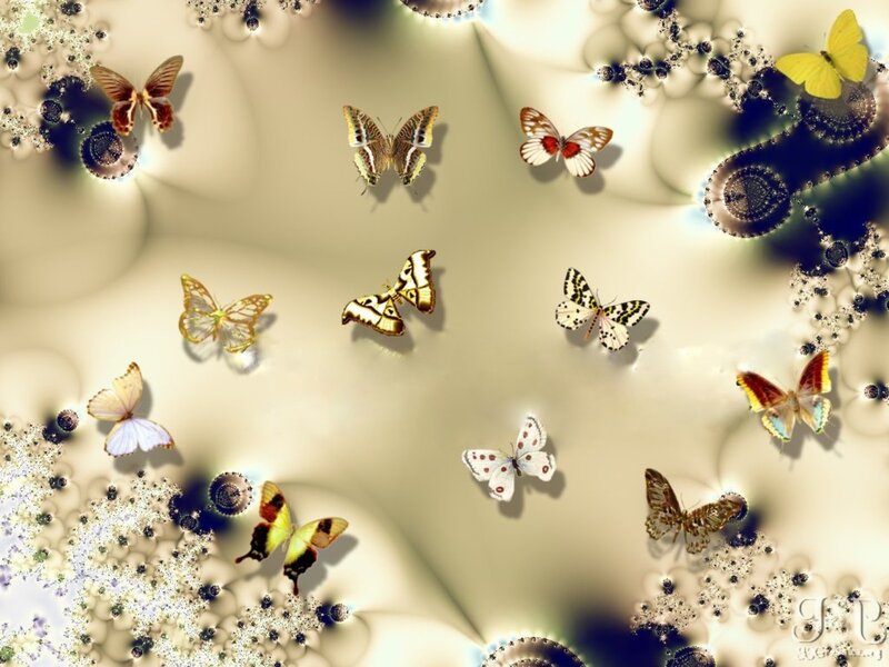butterflies in fractal art