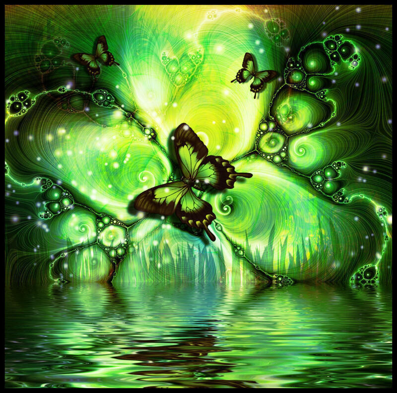 Butterflies in Fractal Landscape