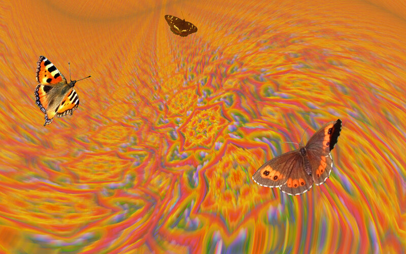 Butterflies in Fractal Pattern — Orange