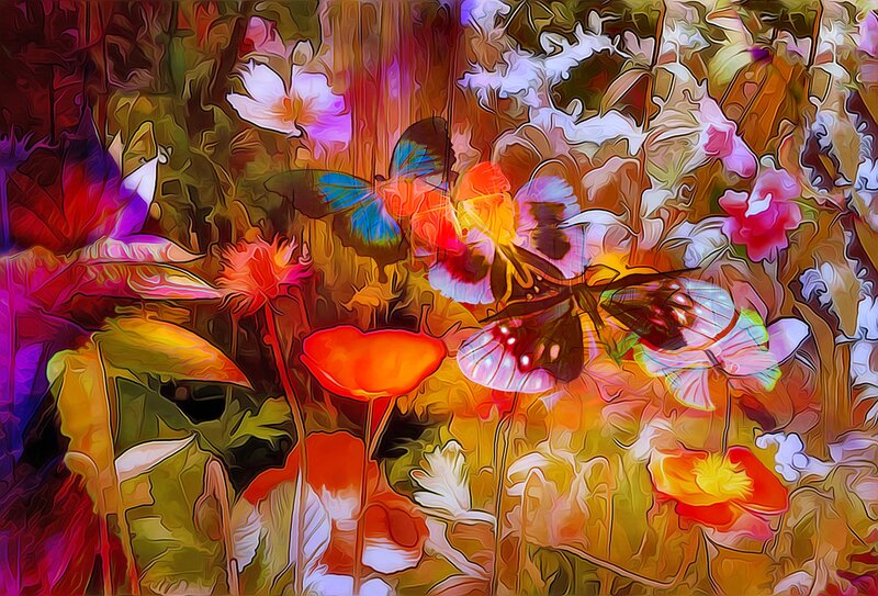 Butterflies in Garden — Orange