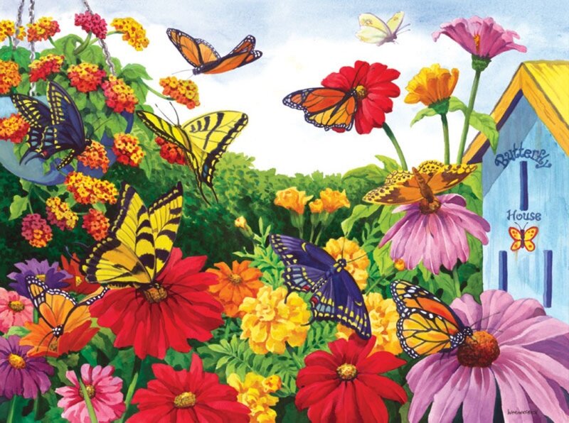 Butterflies in Garden