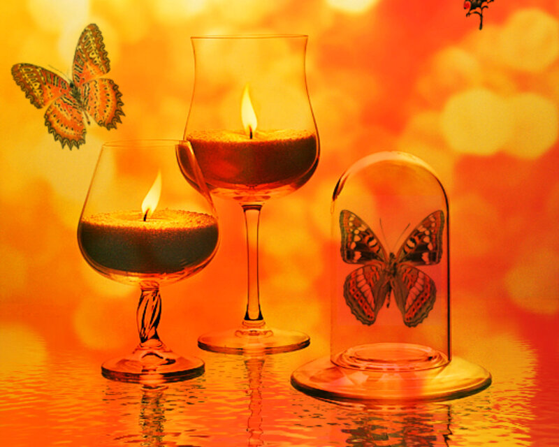 Butterflies in Glass Domes