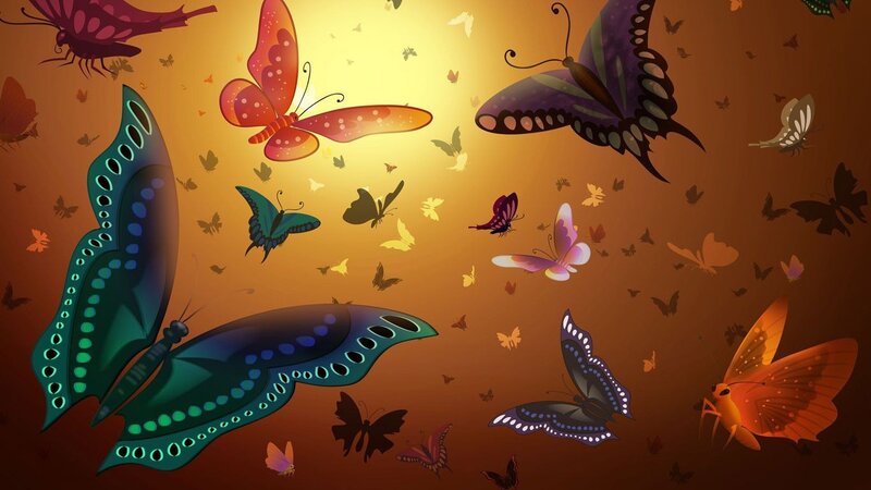 butterflies in golden light