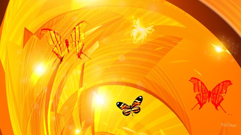 Butterflies in Golden Tunnel