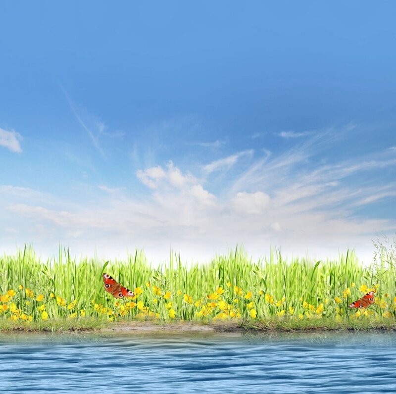 Butterflies in Grass — Blue, Serene, Afternoon