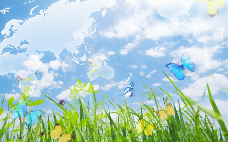 Butterflies in Grass — Blue