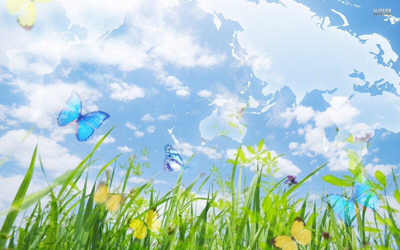 Butterflies in Grass — Green, Serene, Spring