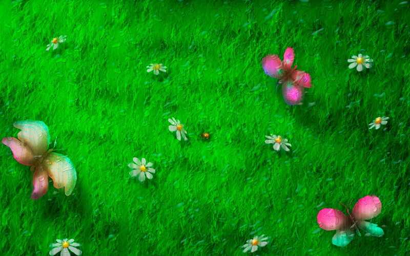 Butterflies in Grass — Green, Serene