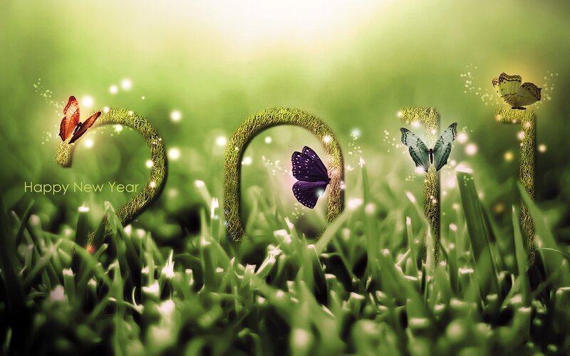 Butterflies in Grass