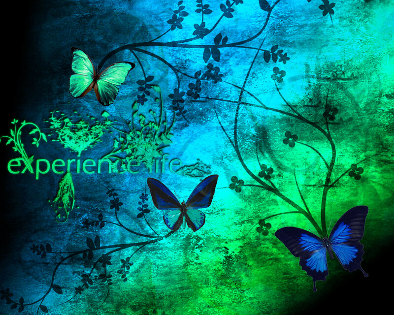 butterflies in green and blue