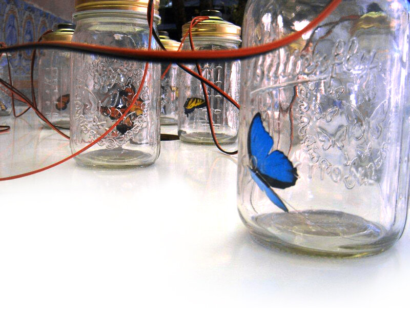Butterflies in Jars