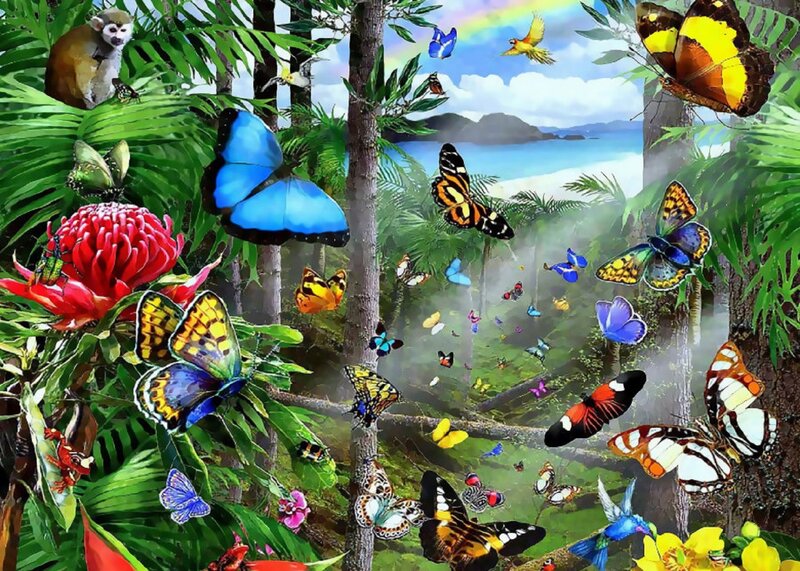 Butterflies in Jungle