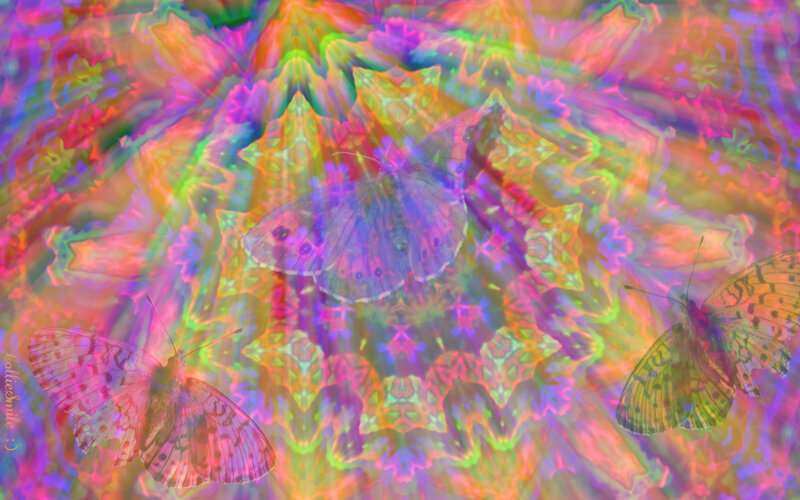 Butterflies in Kaleidoscope