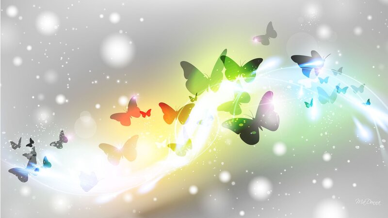 Butterflies in Light Stream