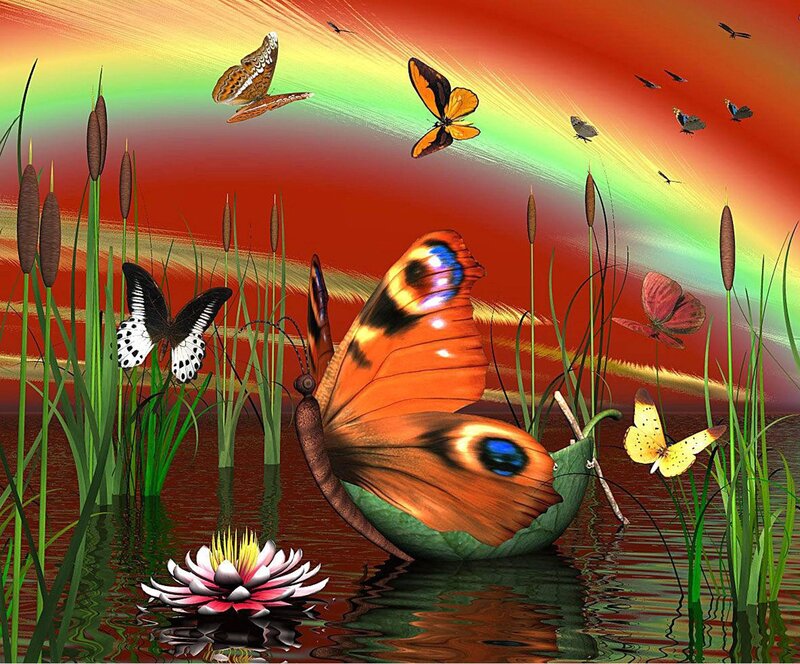 Butterflies in Marsh — Red