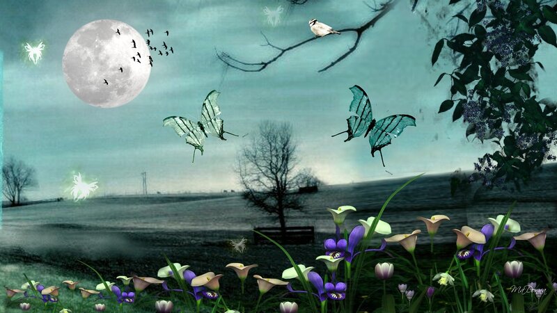 Butterflies in Moonlight — Teal