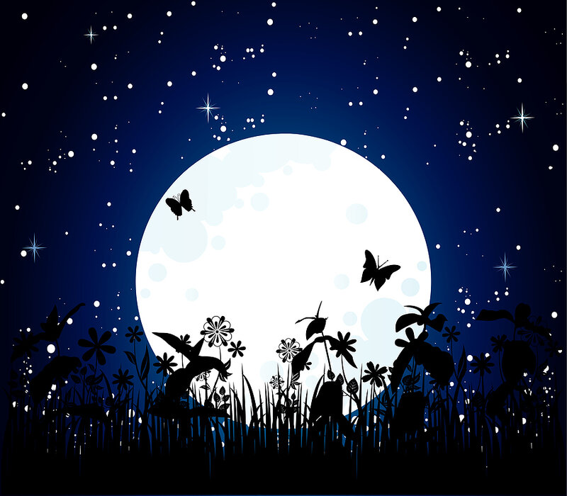 Butterflies in Moonlight