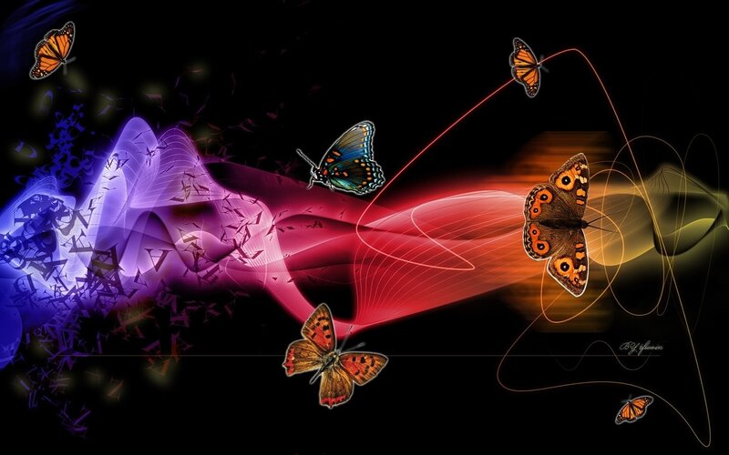 Butterflies in Motion
