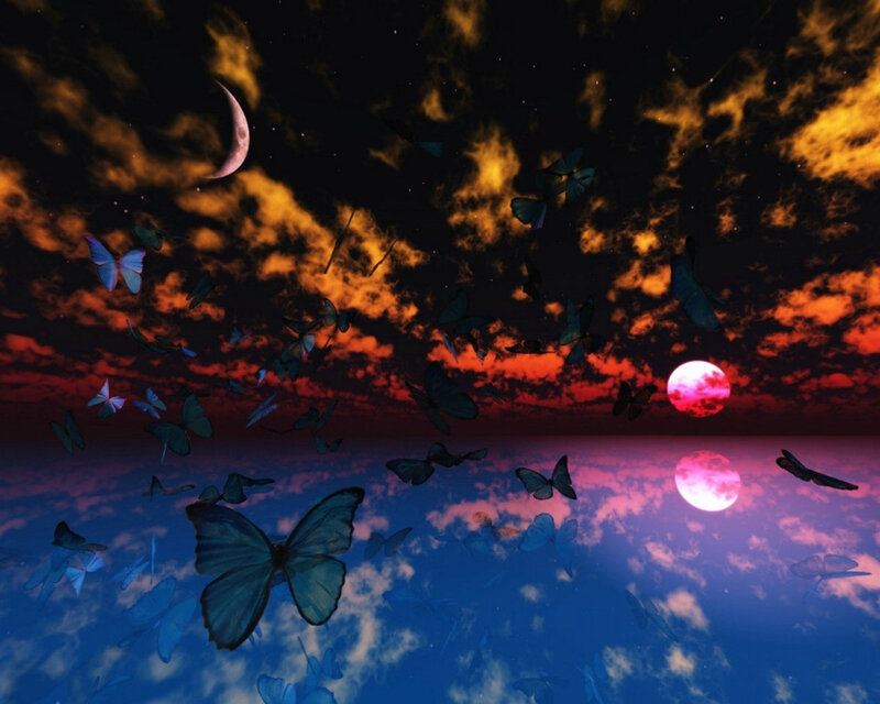 Butterflies in Night Sky — Blue