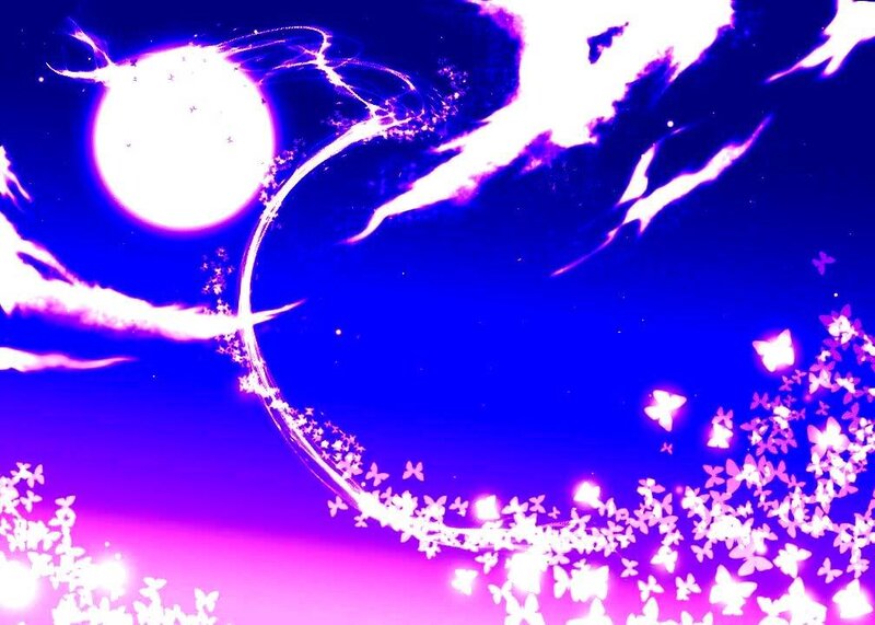Butterflies in Night Sky