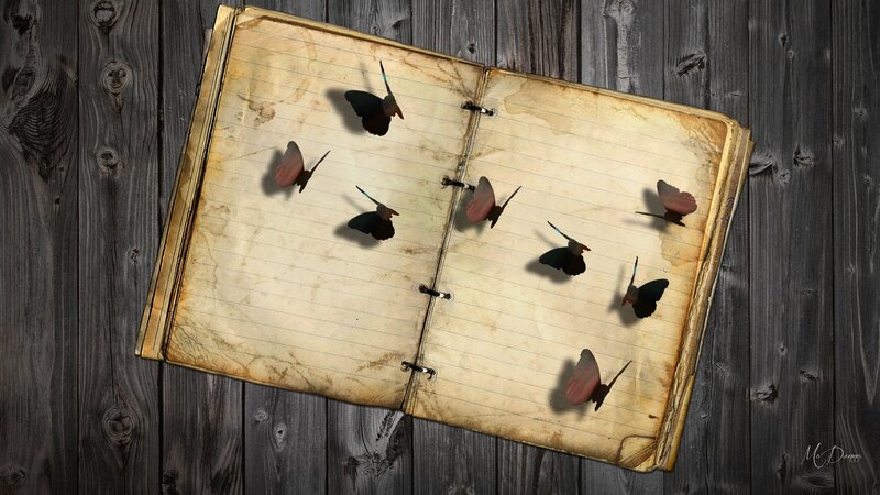 Butterflies in Open Book