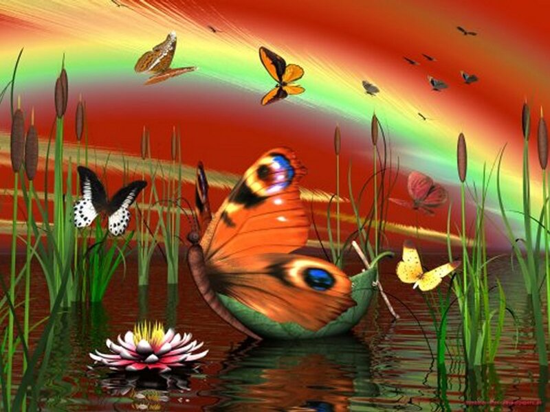 Butterflies in Pond