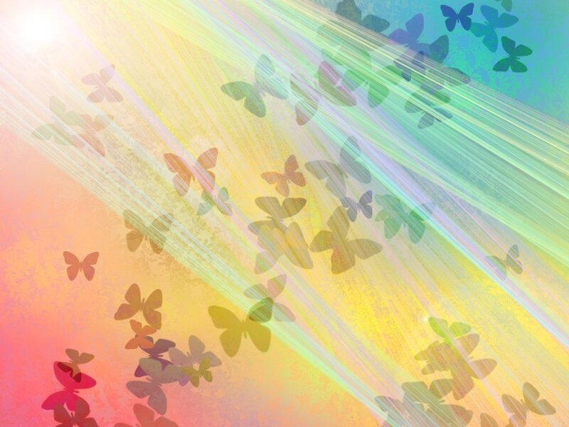 butterflies in radiant light