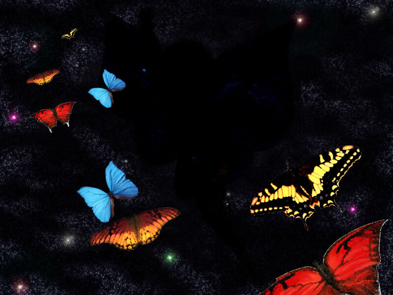 Butterflies in Space