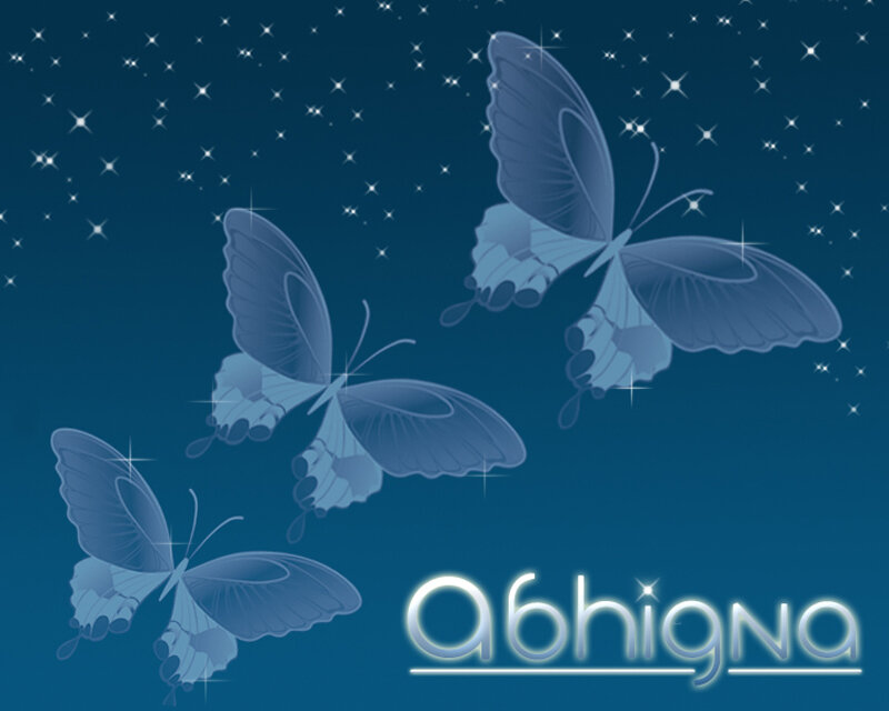 butterflies in starry night