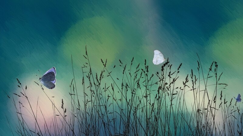Butterflies in Tall Grass — Blue