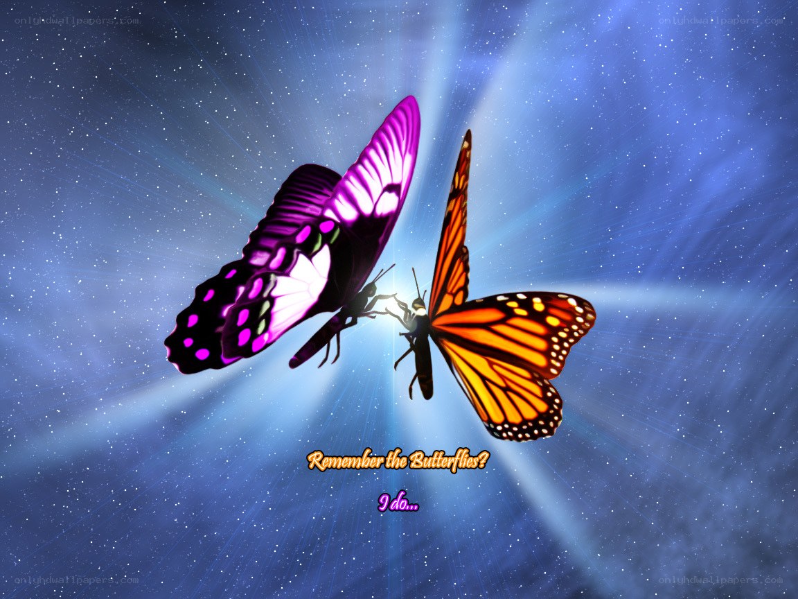 butterflies in the cosmos