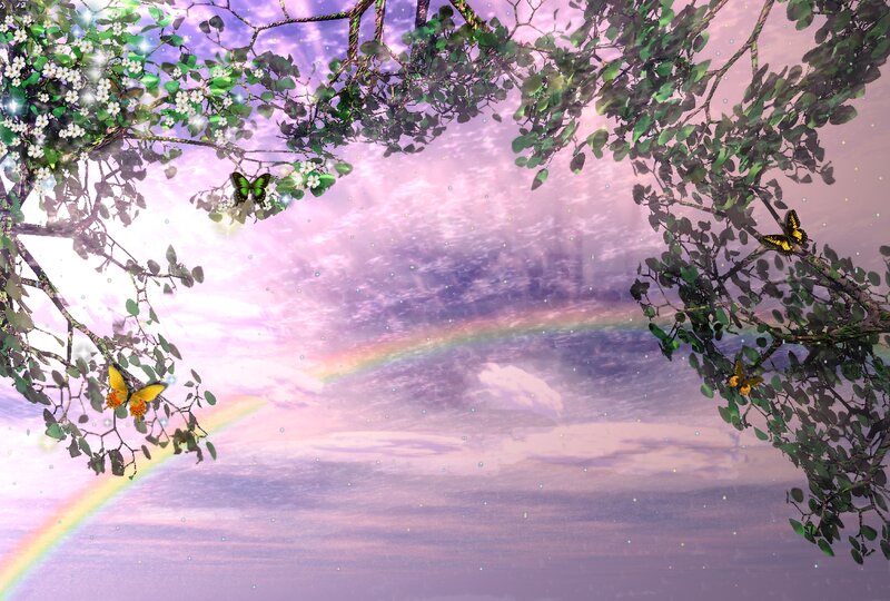 Butterflies in Tree Branches