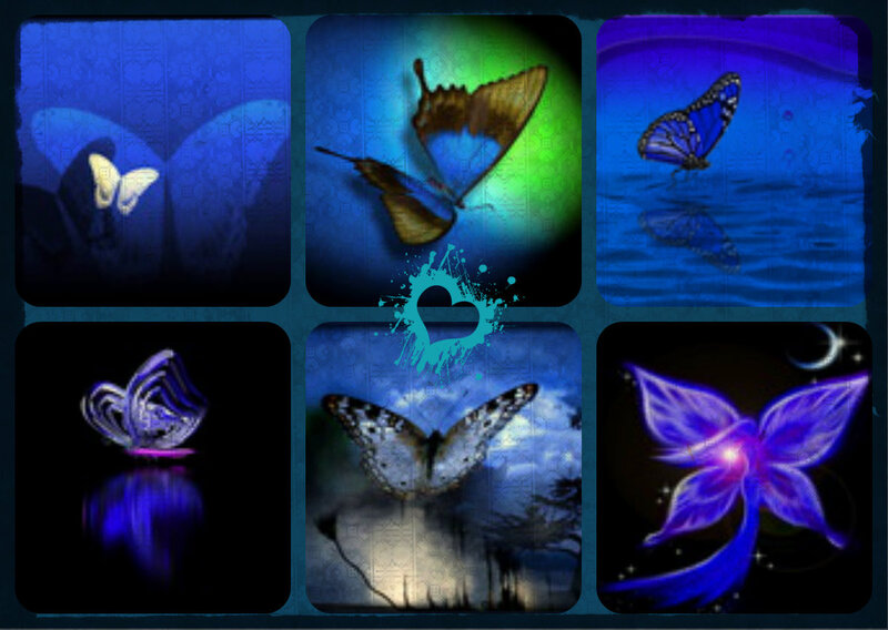 Butterflies in Various Styles