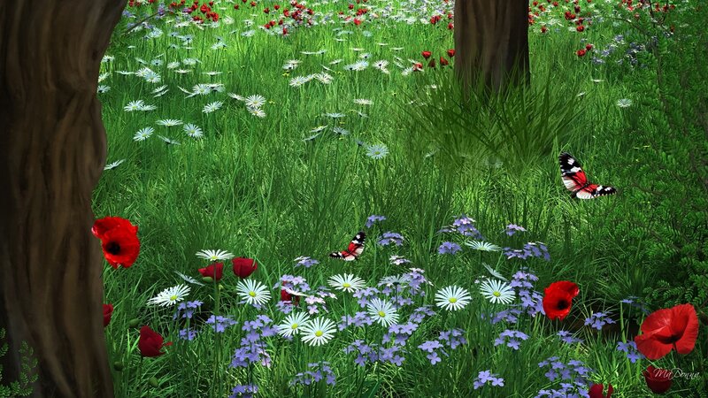 Butterflies in Wildflower Field