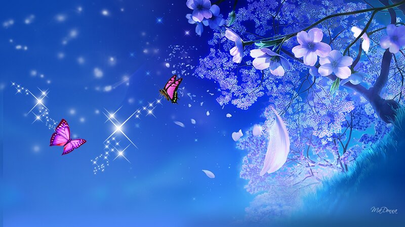 Butterflies Near Blossoming Tree