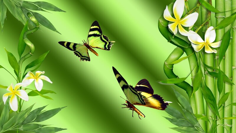 Butterflies Near Flowers — Green