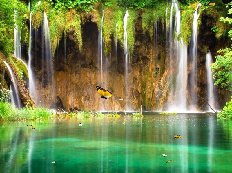 Butterflies Near Waterfall — Green