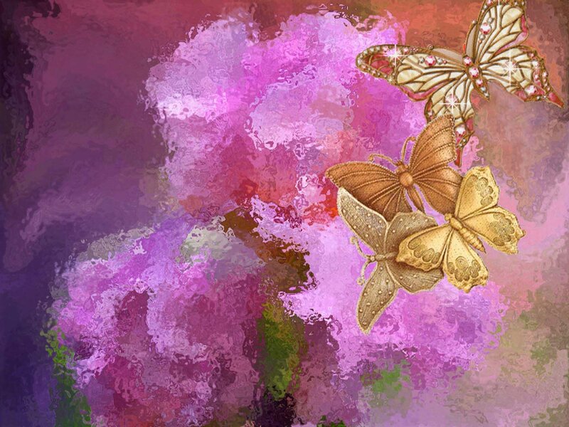 butterflies on a colorful background