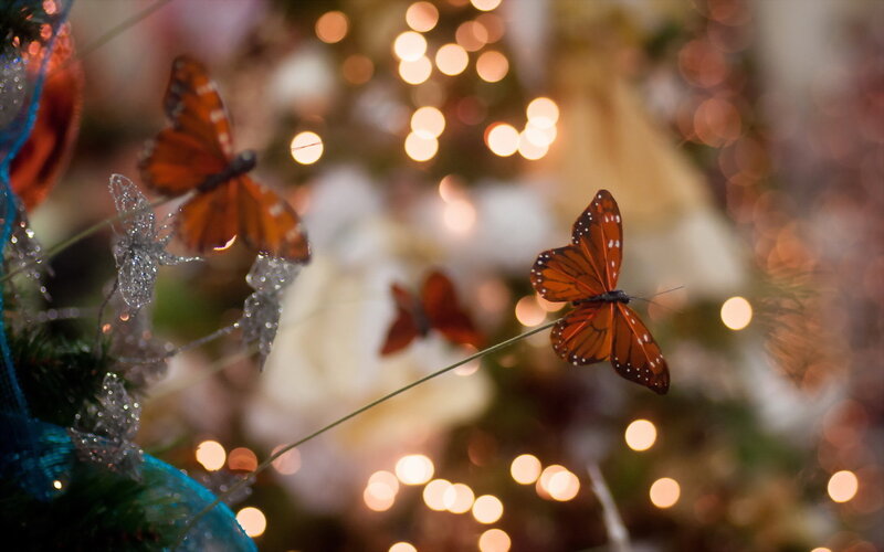 Butterflies on a Decorated Tree — Orange