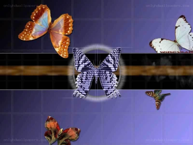 butterflies on a digital background