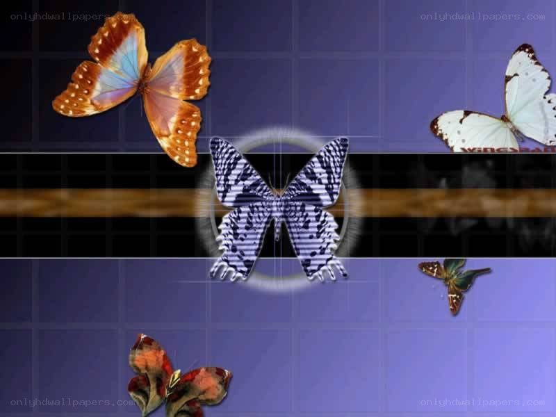 butterflies on a digital grid