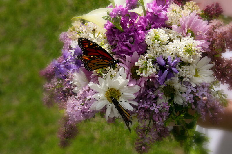 Butterflies on a flower bouquet
