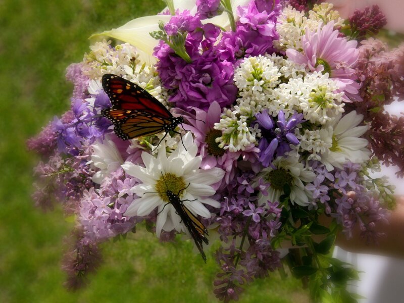 butterflies on a flower bouquet