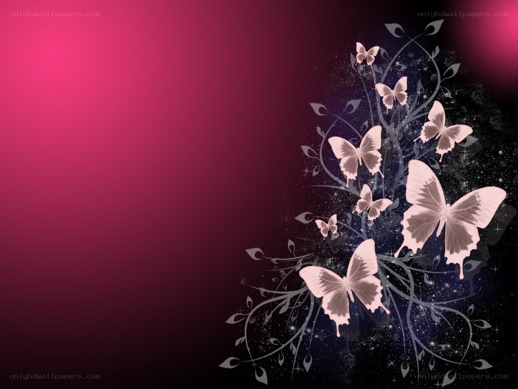 butterflies on a magenta background