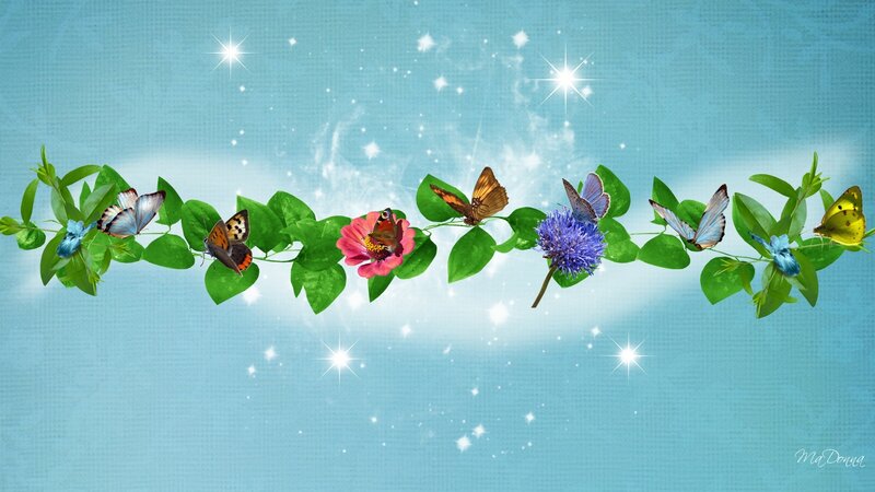 Butterflies on a Vine