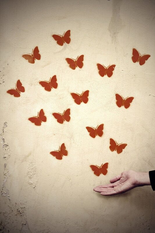 butterflies on a wall