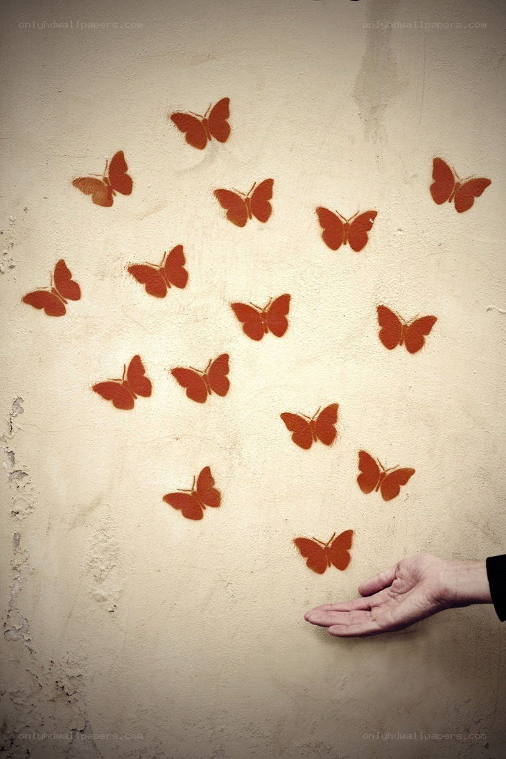 butterflies on a wall